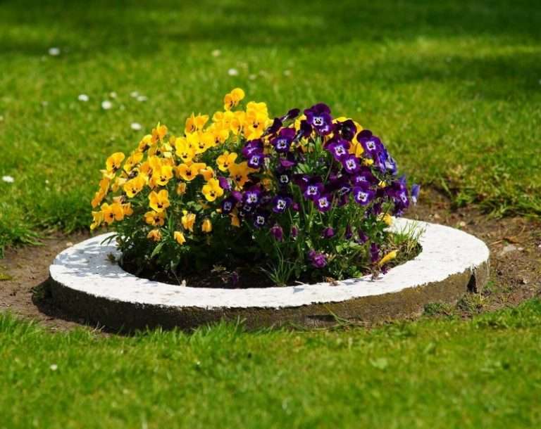 Цветочная клумба: 80 идей оформления, фото-схемы посадки растений ...