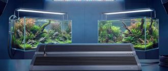 Выбираем светильники Ledstar: сравниваем разные модели для аквариума